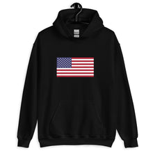Load image into Gallery viewer, USA Unisex Hoodie
