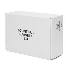 Load image into Gallery viewer, BEAM Women’s high top canvas shoes