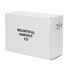 Load image into Gallery viewer, MEDALLION Women’s high top canvas shoes