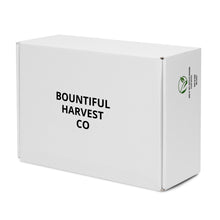 Load image into Gallery viewer, BRIGATTA Women’s high top canvas shoes