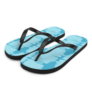 Flip-Flops