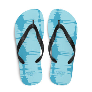 Flip-Flops